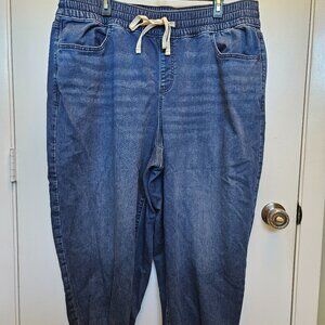 Size 20 Lane Bryant Jogger Jeans